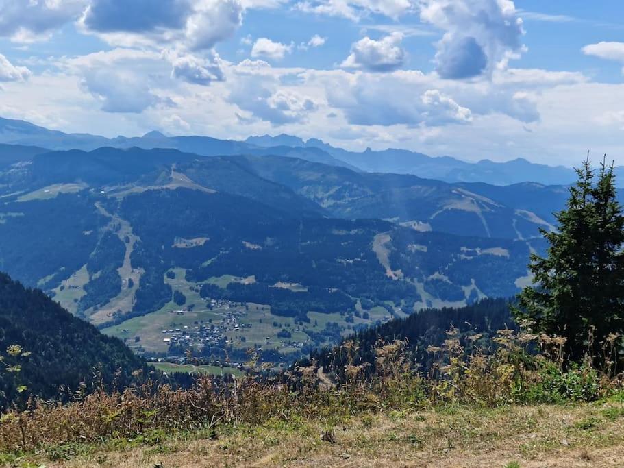 Appartement La Duchere Le Plan-La Giettaz Massif Des Aravis Zewnętrze zdjęcie