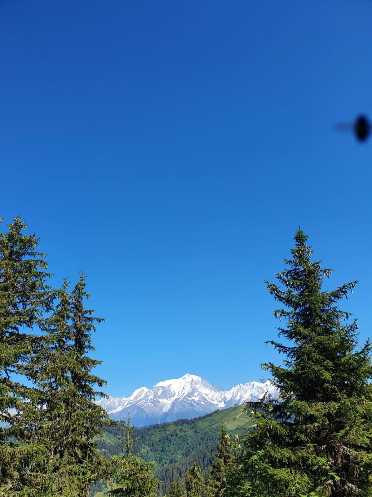 Appartement La Duchere Le Plan-La Giettaz Massif Des Aravis Zewnętrze zdjęcie